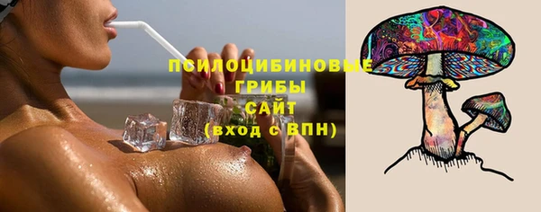 мдпв Осинники