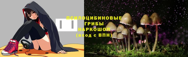 таблы Гатчина