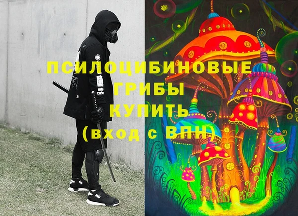 ПСИЛОЦИБИНОВЫЕ ГРИБЫ Остров