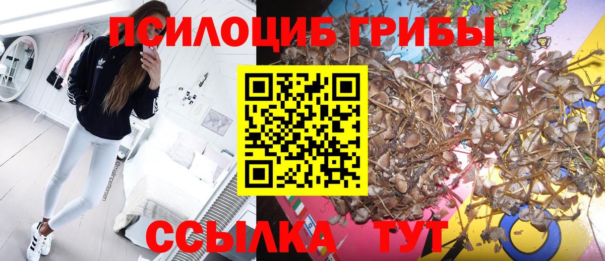 Кондопога  Галлюциногенные грибы GOLDEN TEACHER  Вход с VPN 