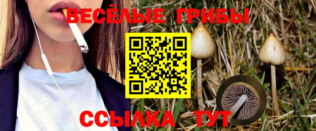 Галлюциногенные грибы мицелий Кондопога
